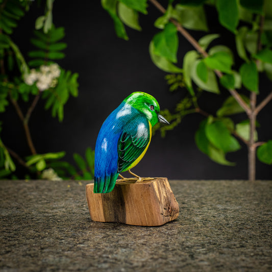 Hand Made Hand Painted Wooden Sculpture of a Blue-Naped Chlorophonia