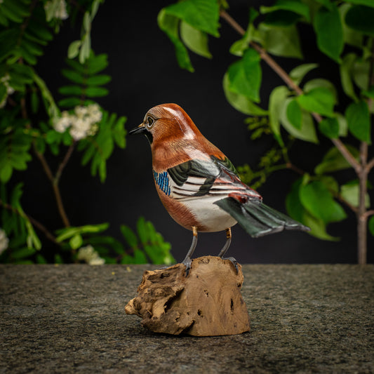 Hand Made Hand Painted Wooden Sculpture of a Jay Eurasain