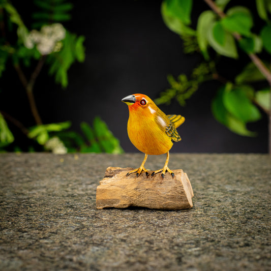 Hand Made Hand Painted Wooden Sculpture of a Saffron Finch