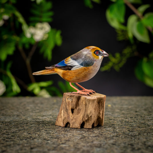 Hand Made Hand Painted Wooden Sculpture of a Hawfinch