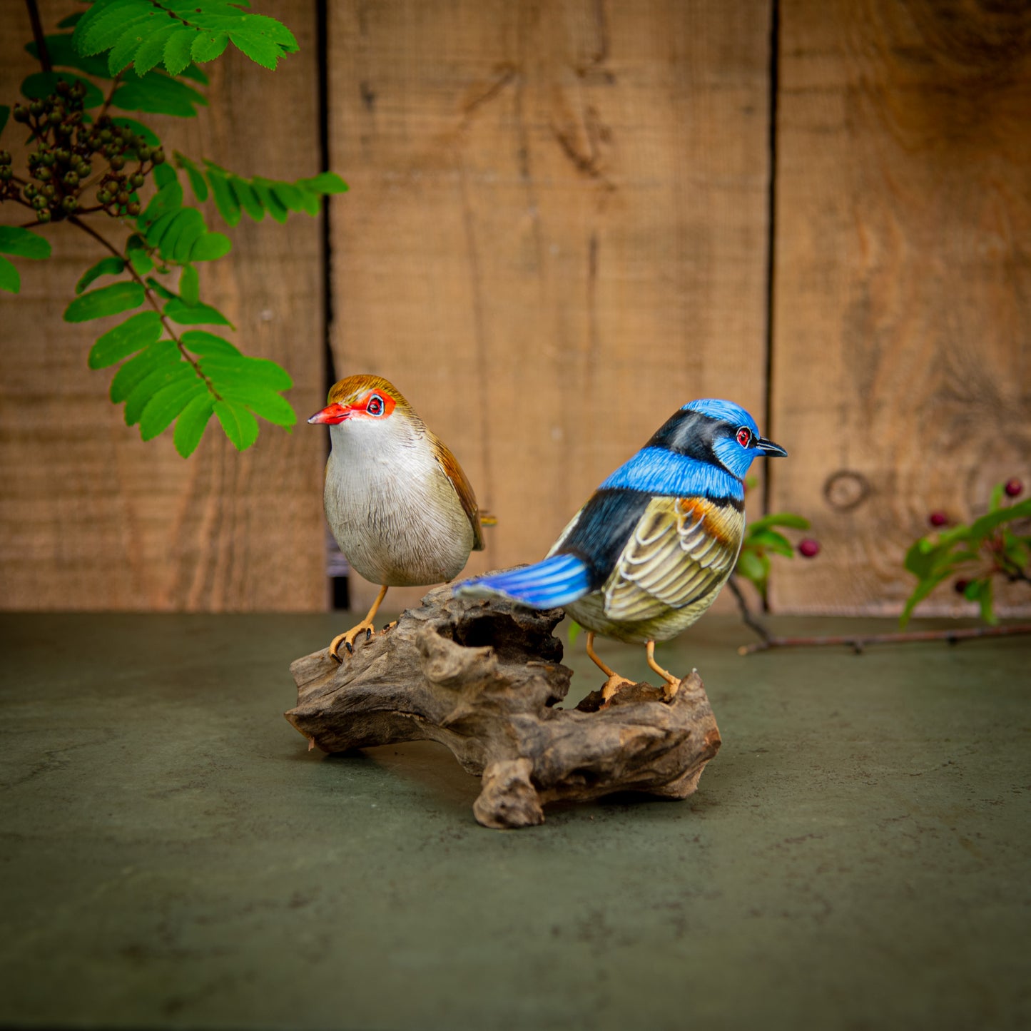 Hand Made Hand Painted Wooden Sculpture of a Pair of Superb Fairy Wrens