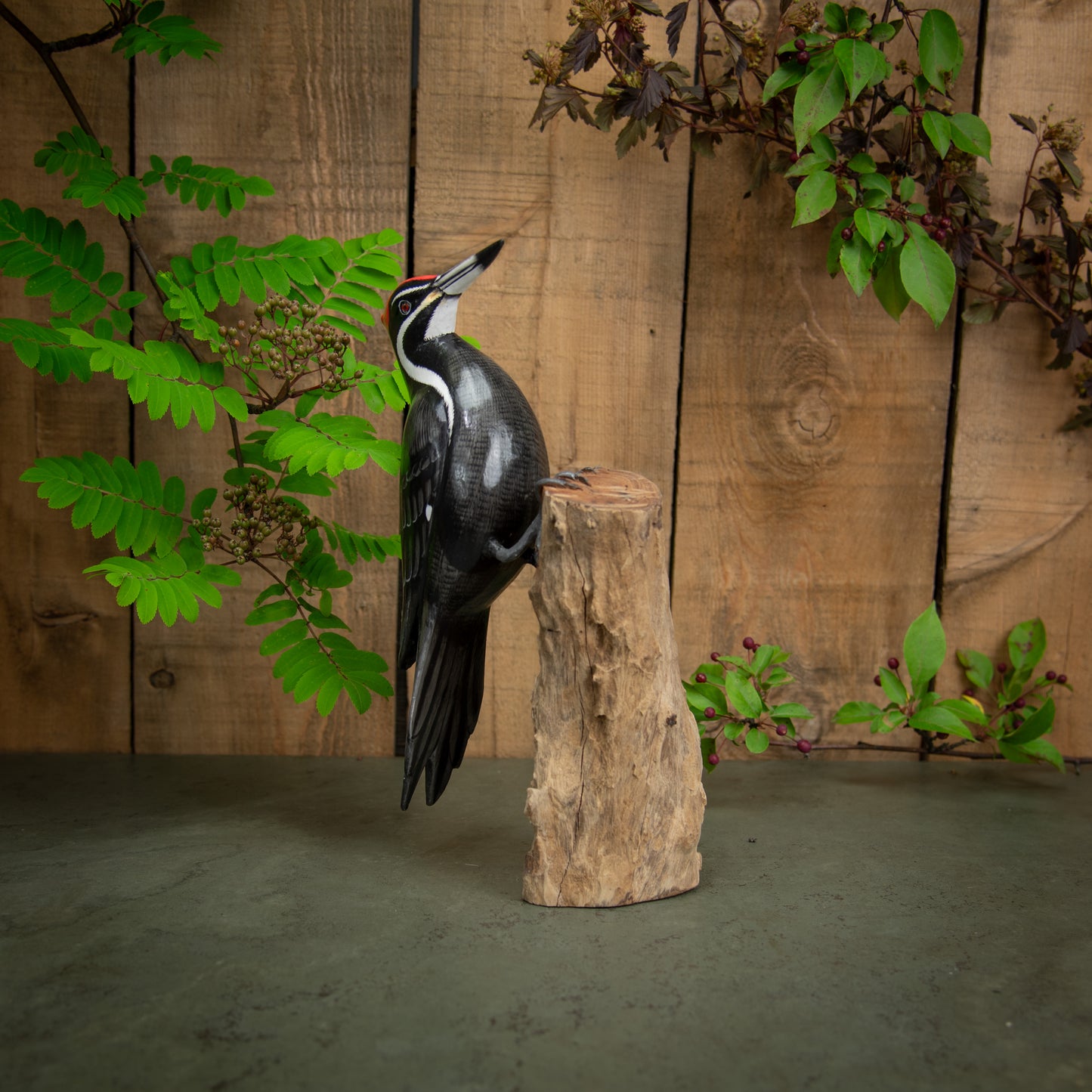 Hand Made Hand Painted Wooden Sculpture of a Pileated Woodpecker