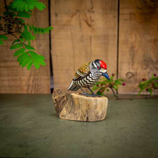 Hand Made Hand Painted Wooden Sculpture of a White Barred Woodpecker