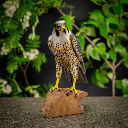 Hand Made Hand Painted Wooden Sculpture of a Peregrine Falcon