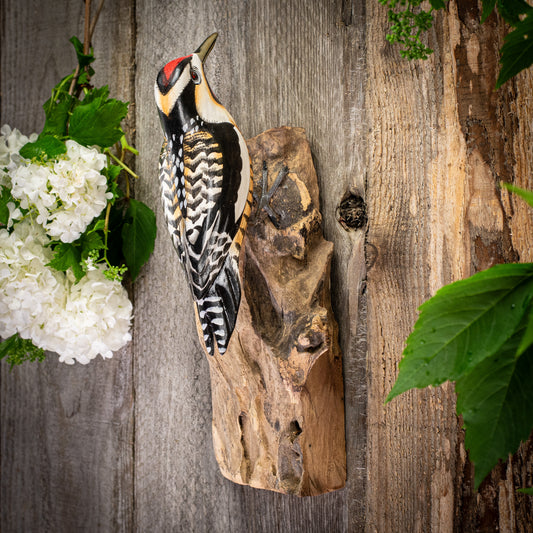 Hand Made Hand Painted Wooden Wall Sculpture of a Yellow-Bellied Sapsucker