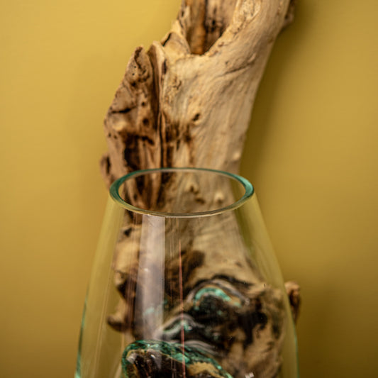 Blown Glass Vase on Natural Coffee Root Wall-Mount