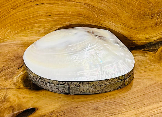 Natural Shell Jewelry Box
