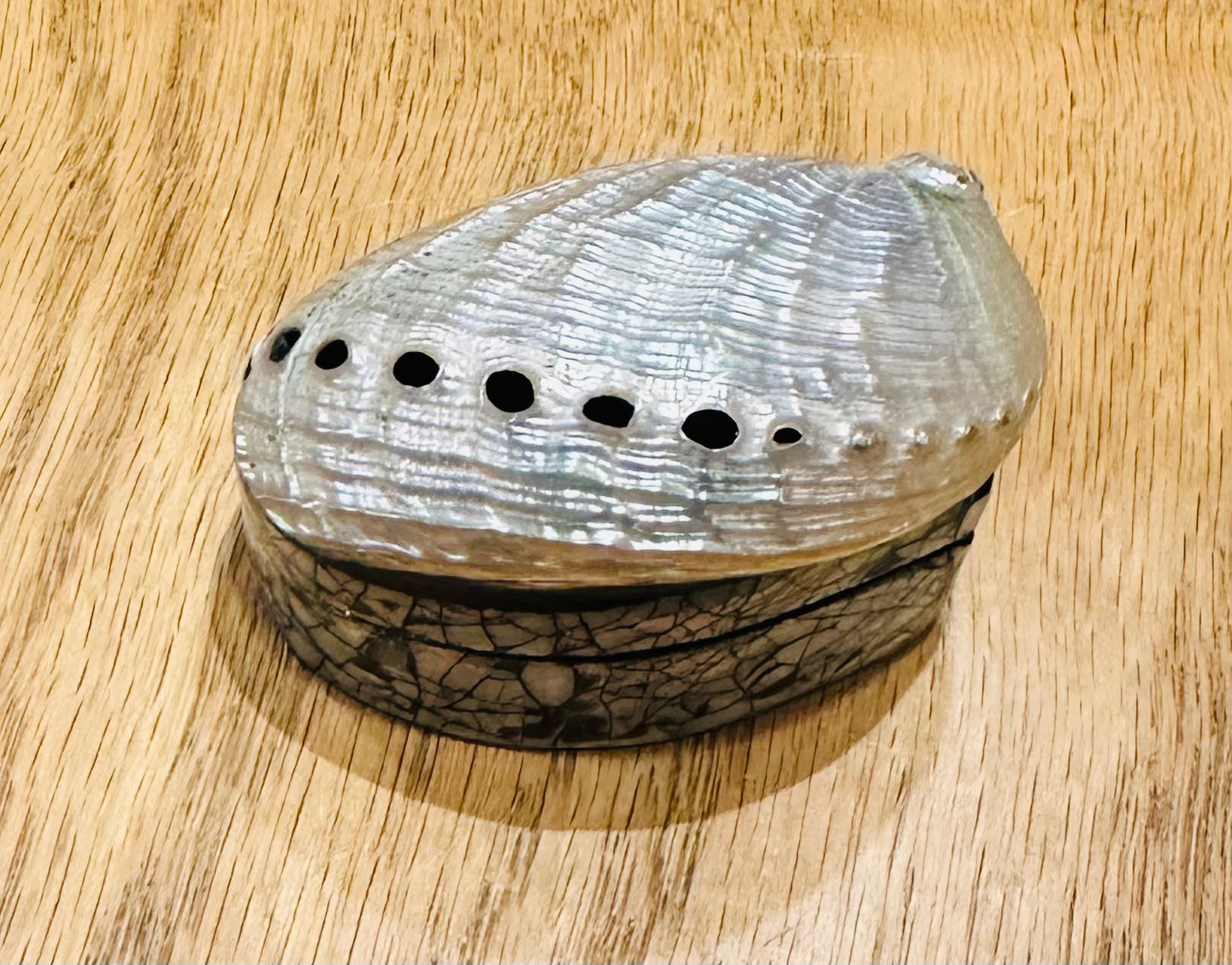 Mini Shell Jewelry Box