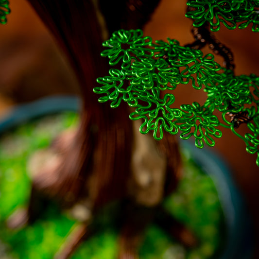 Formal Upright Bonsai, 30cm