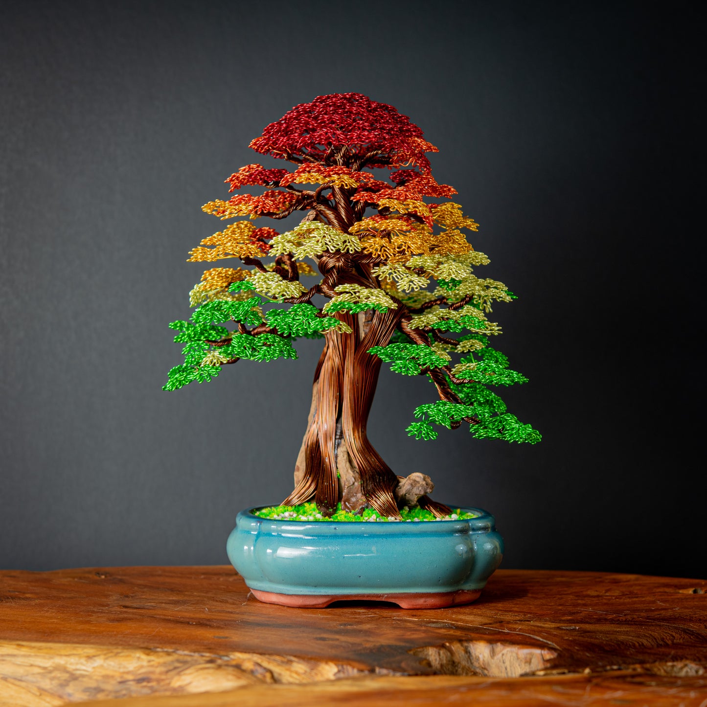 Formal Upright Bonsai, 30cm