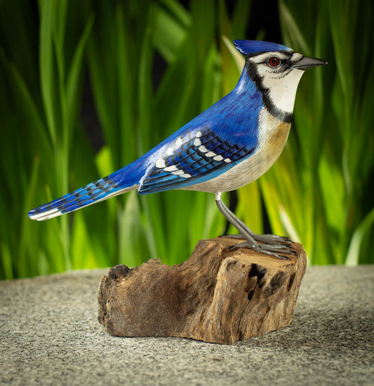 Hand Made Hand Painted Wooden Sculpture of a Bluejay