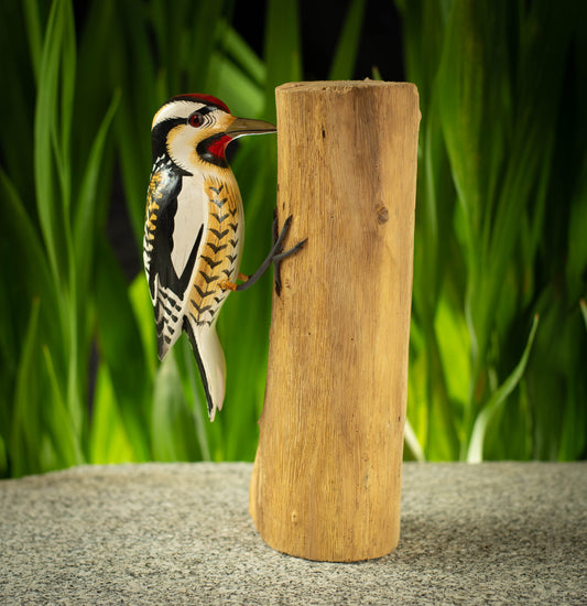 Hand Carved, Hand Painted Wooden Bird Sculpture of a Yellow-Bellied Sapsucker