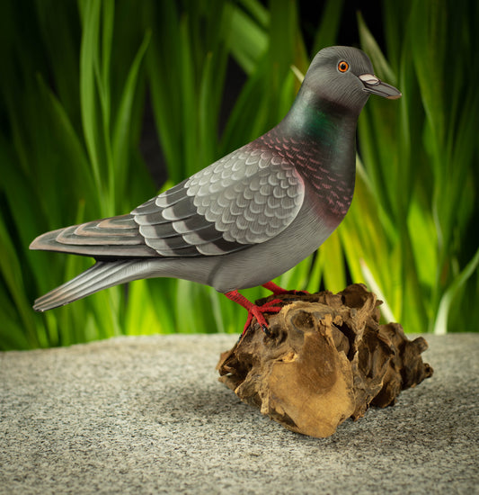 Hand Carved, Hand Painted Wooden Bird Sculpture of a Rock Dove
