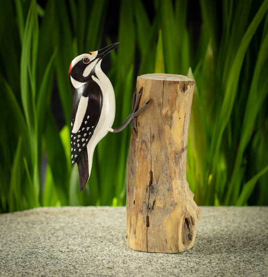 Hand Made Hand Painted Wooden Sculpture of a North American Hairy Woodpecker