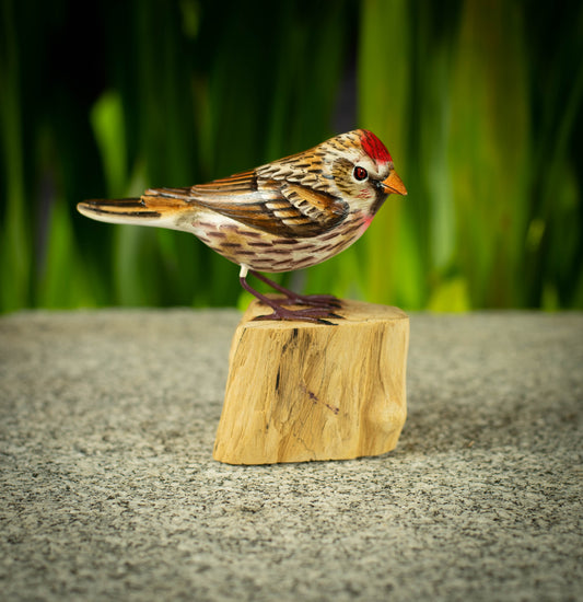 Hand Made Hand Painted Wooden Sculpture of a Common Redpoll