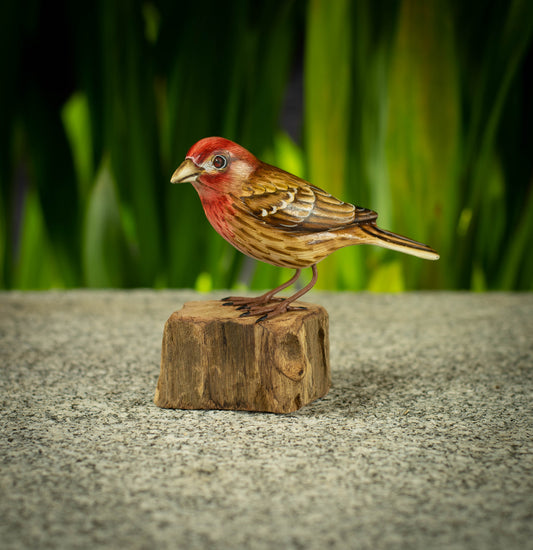 Hand Made Hand Painted Wooden Sculpture of a House Finch
