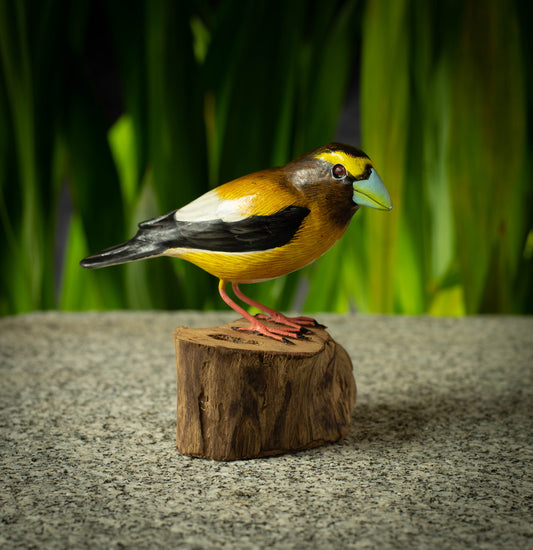Hand Made Hand Painted Wooden Sculpture of an Evening Grosbeak
