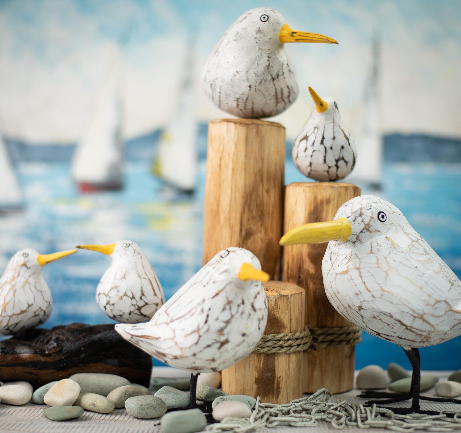 Friendly Seagulls