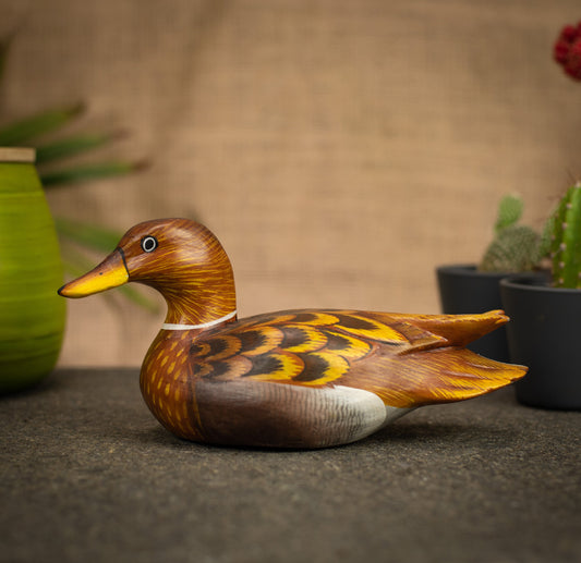 photo of a bird
