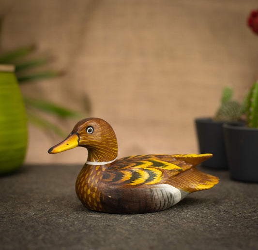 photo of a bird