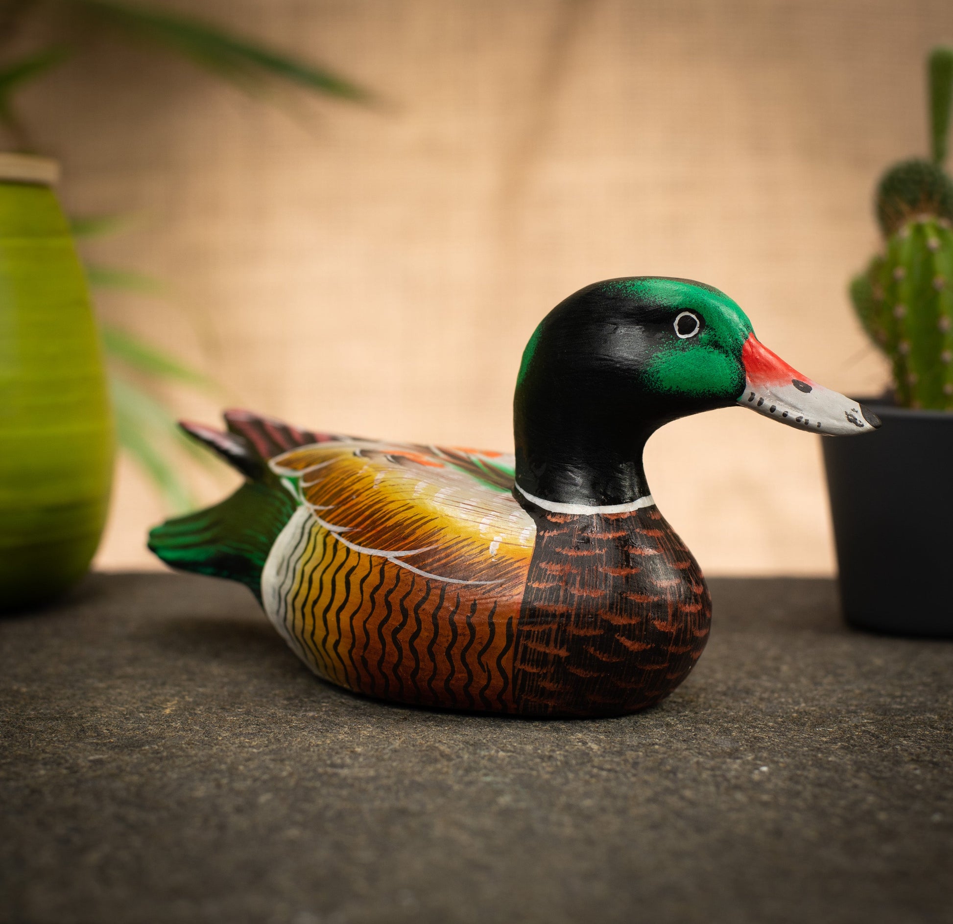 photo of a bird