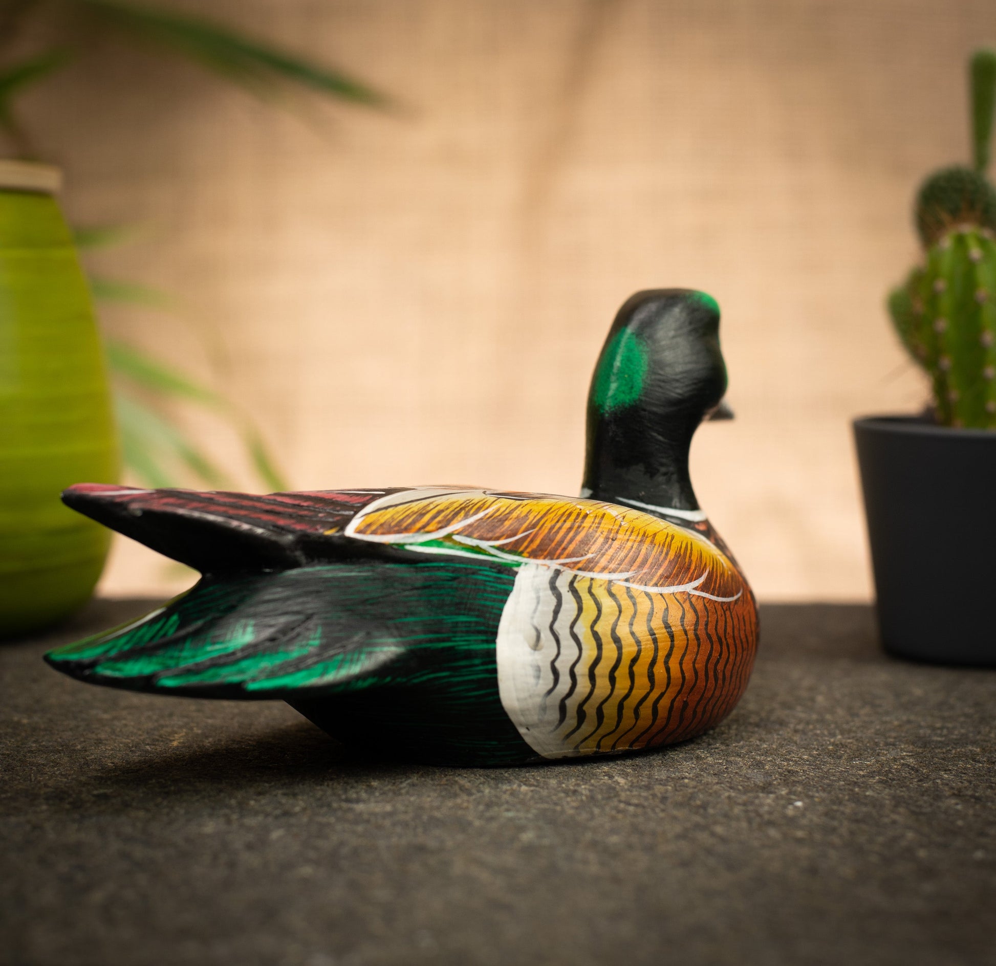 photo of a bird