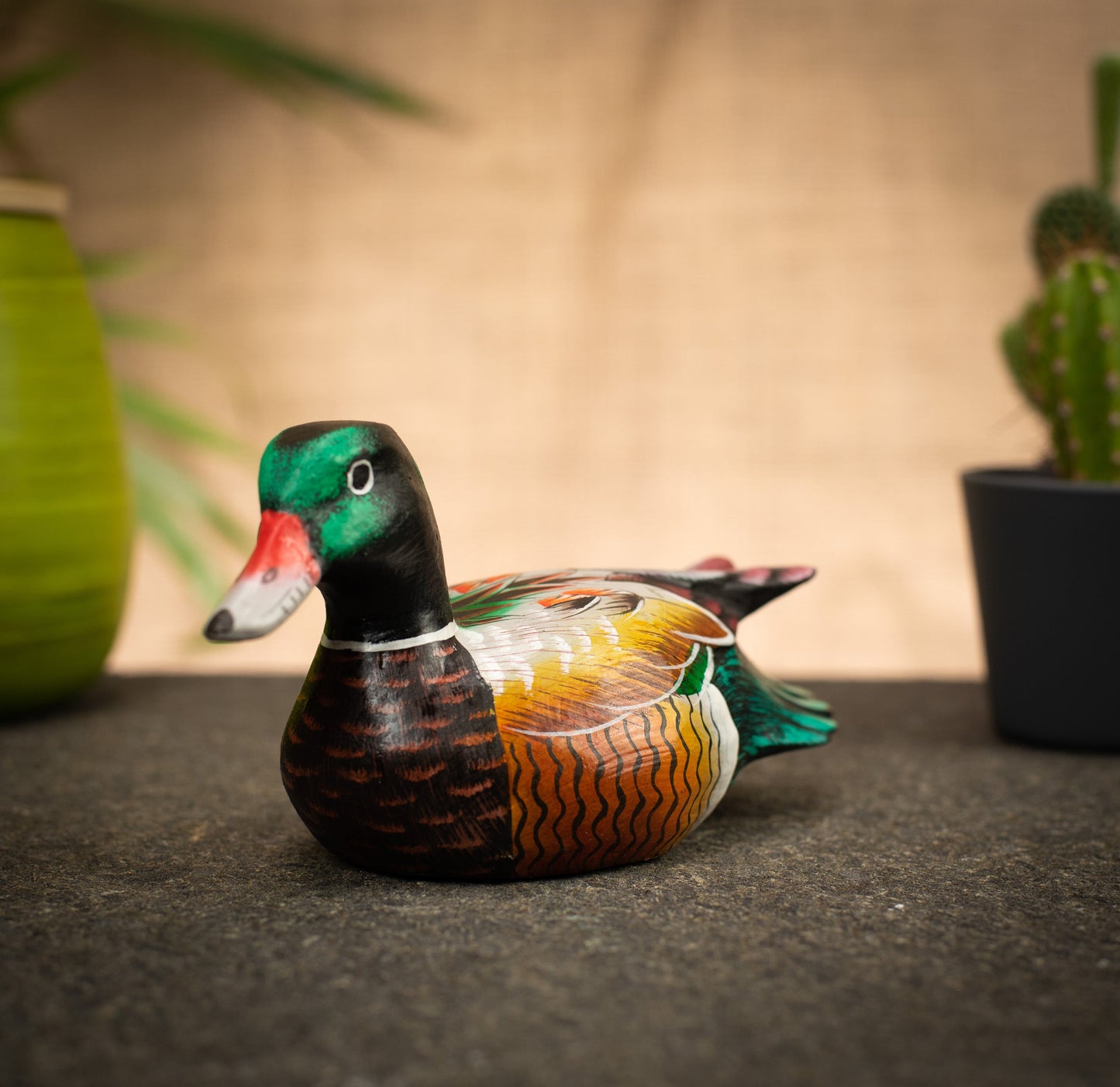 photo of a bird