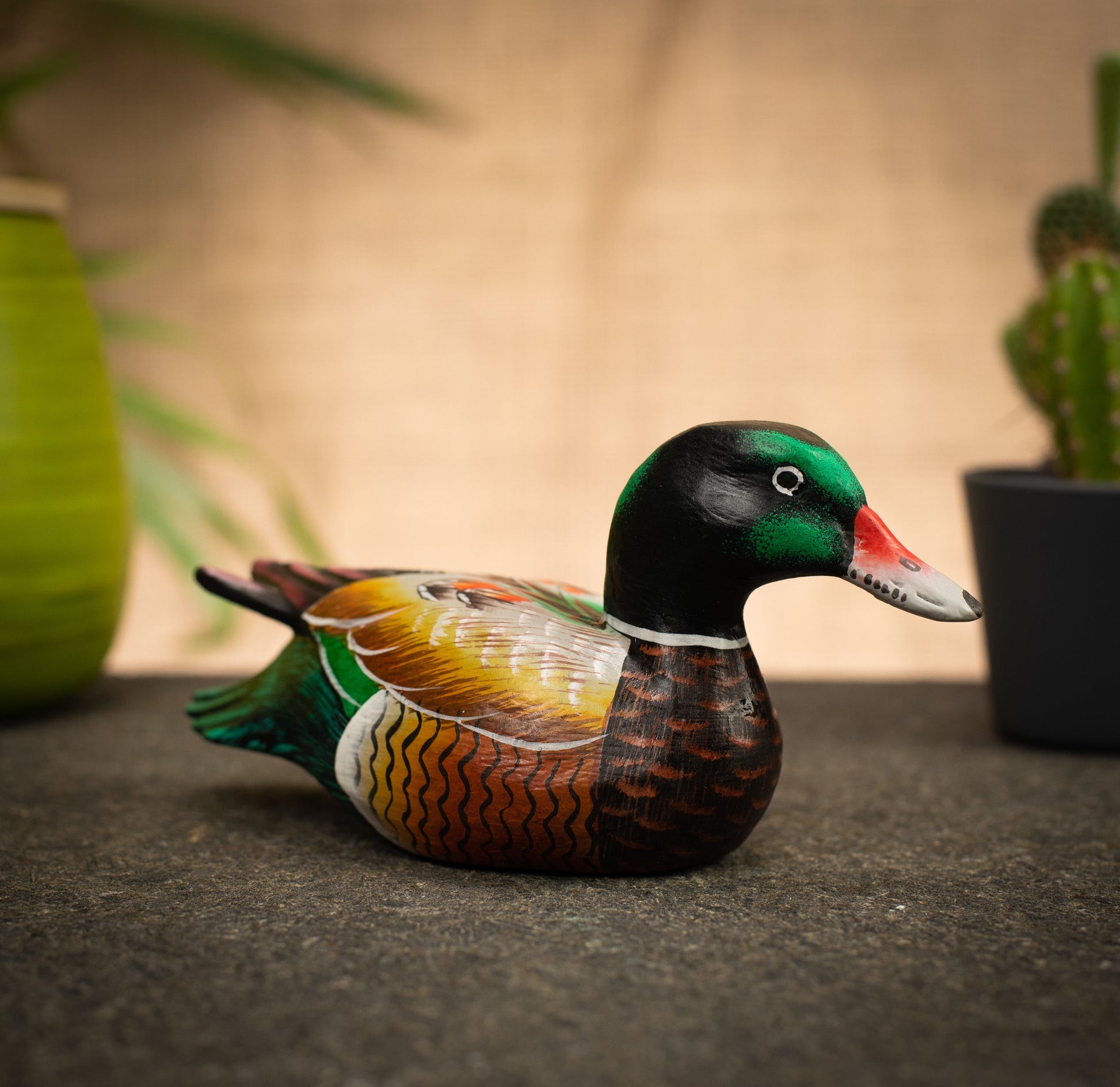 photo of a bird
