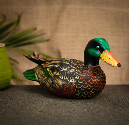 photo of a bird