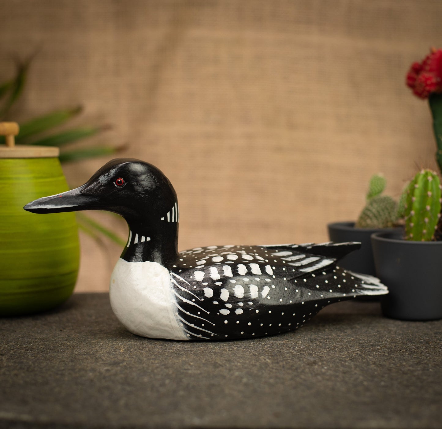 photo of a bird