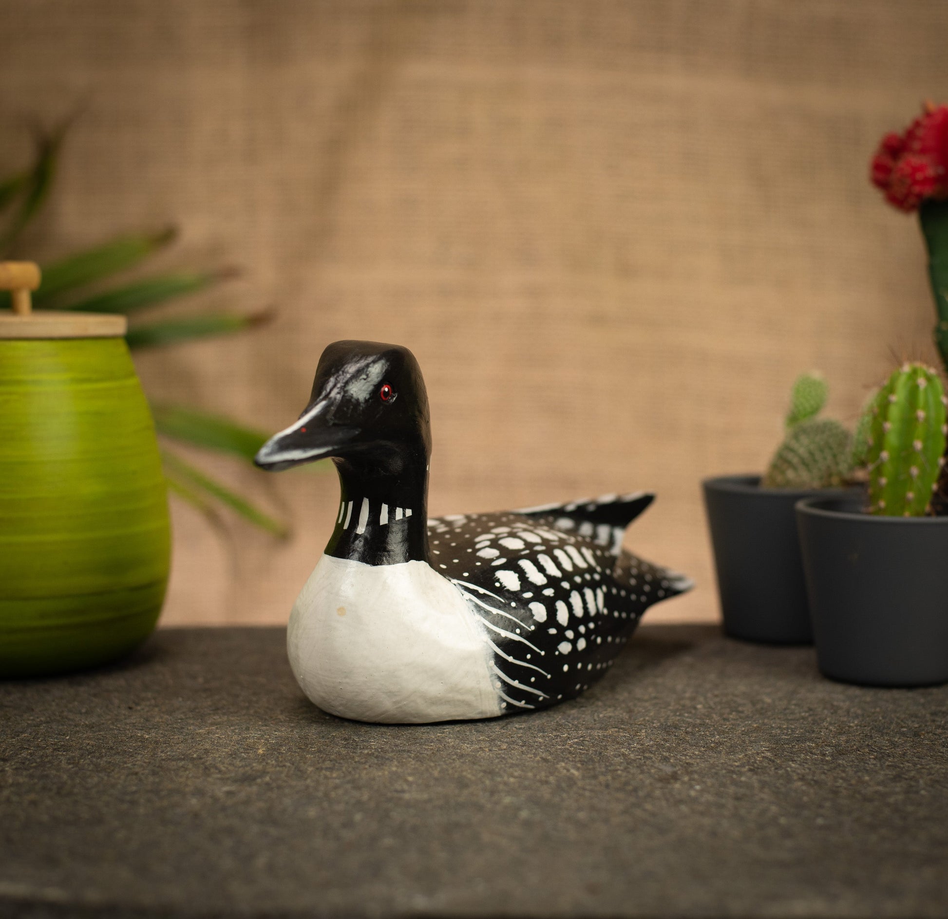 photo of a bird