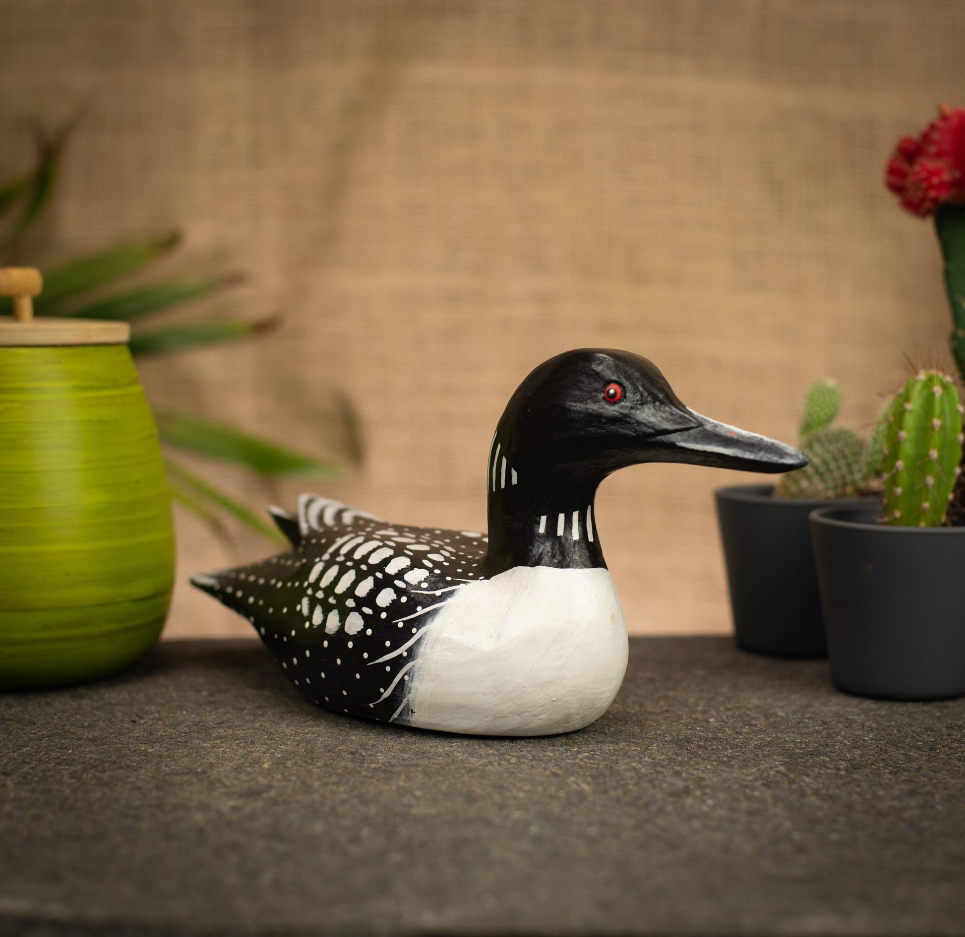 photo of a bird