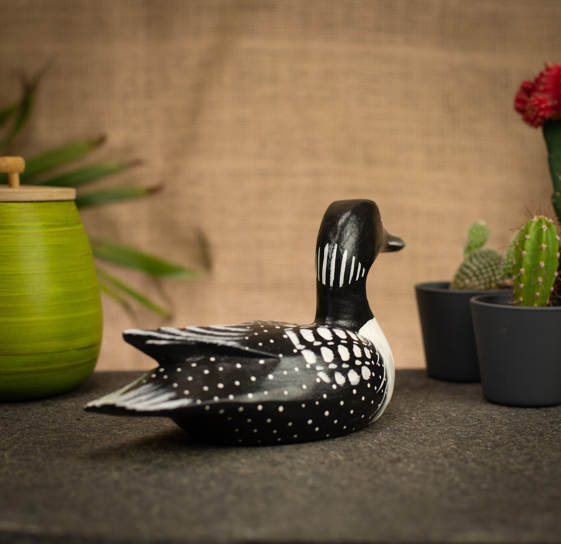 photo of a bird