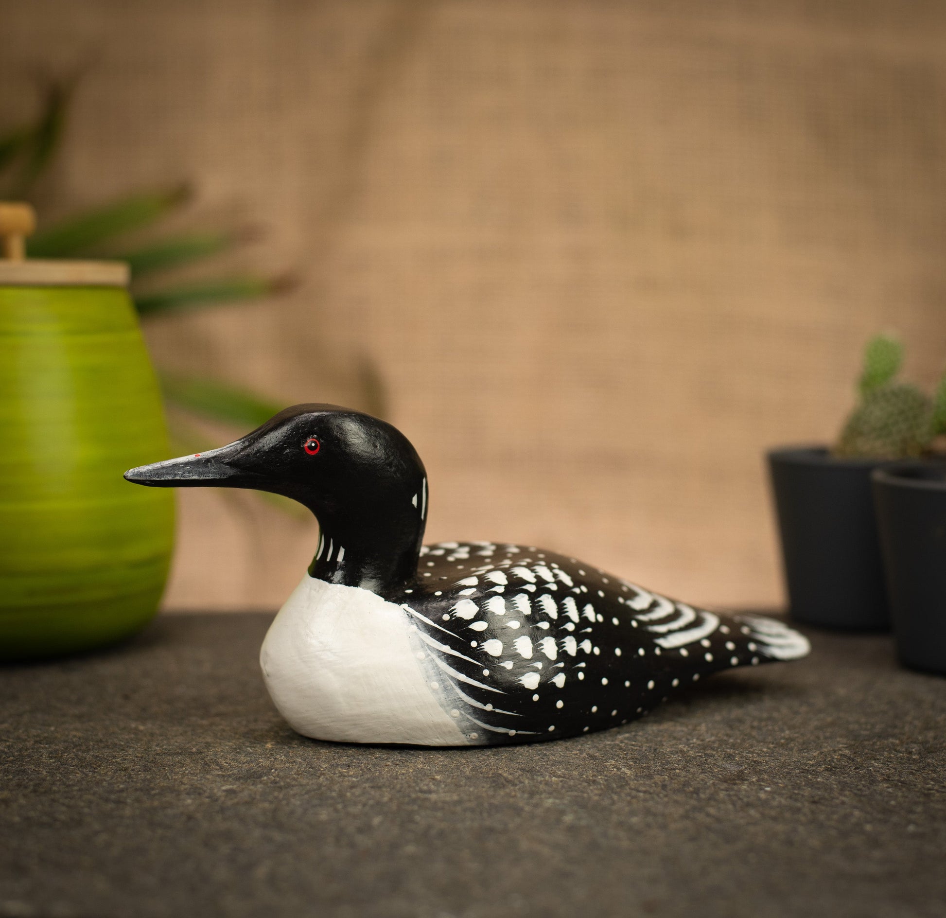 photo of a bird