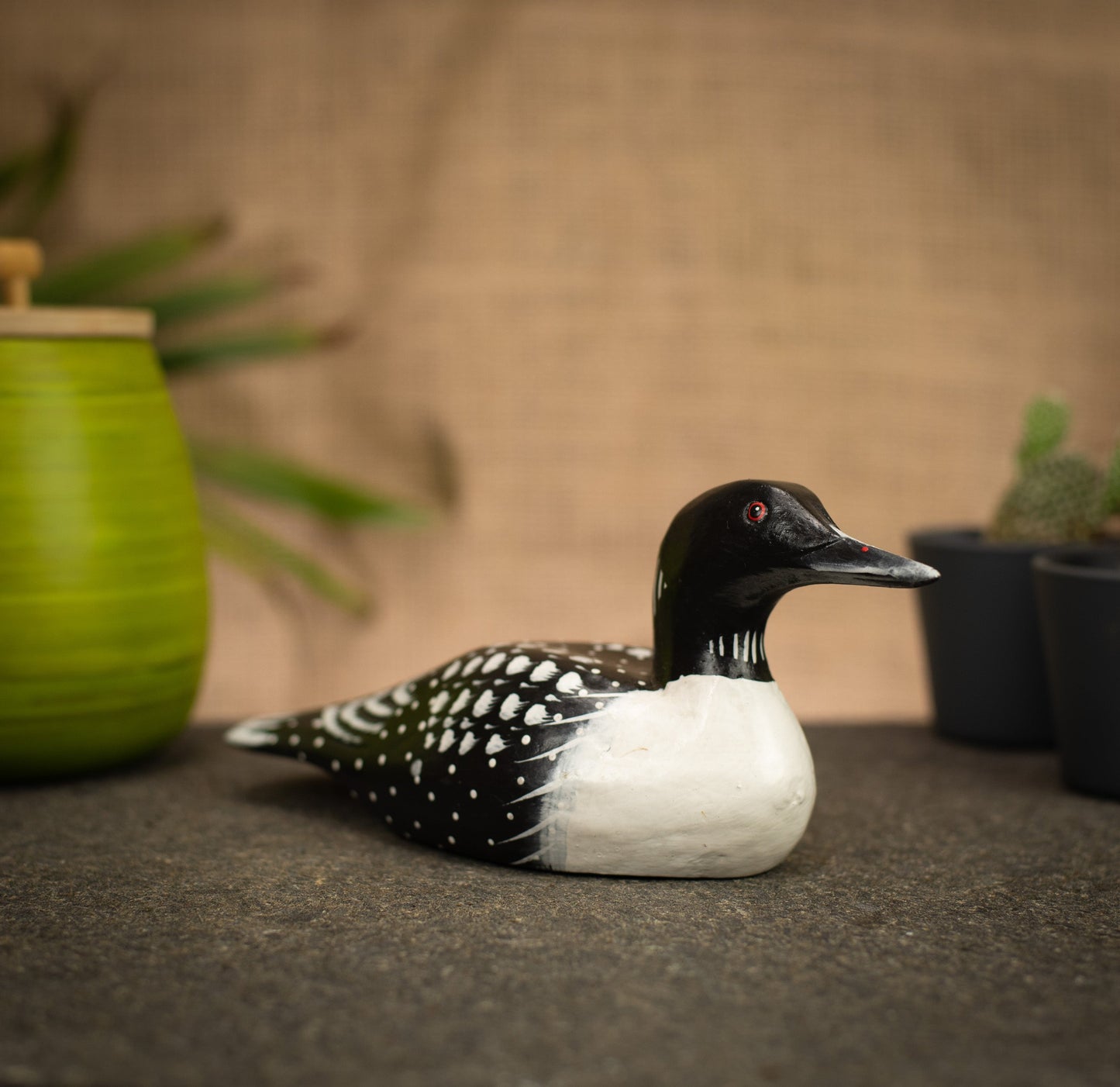 photo of a bird