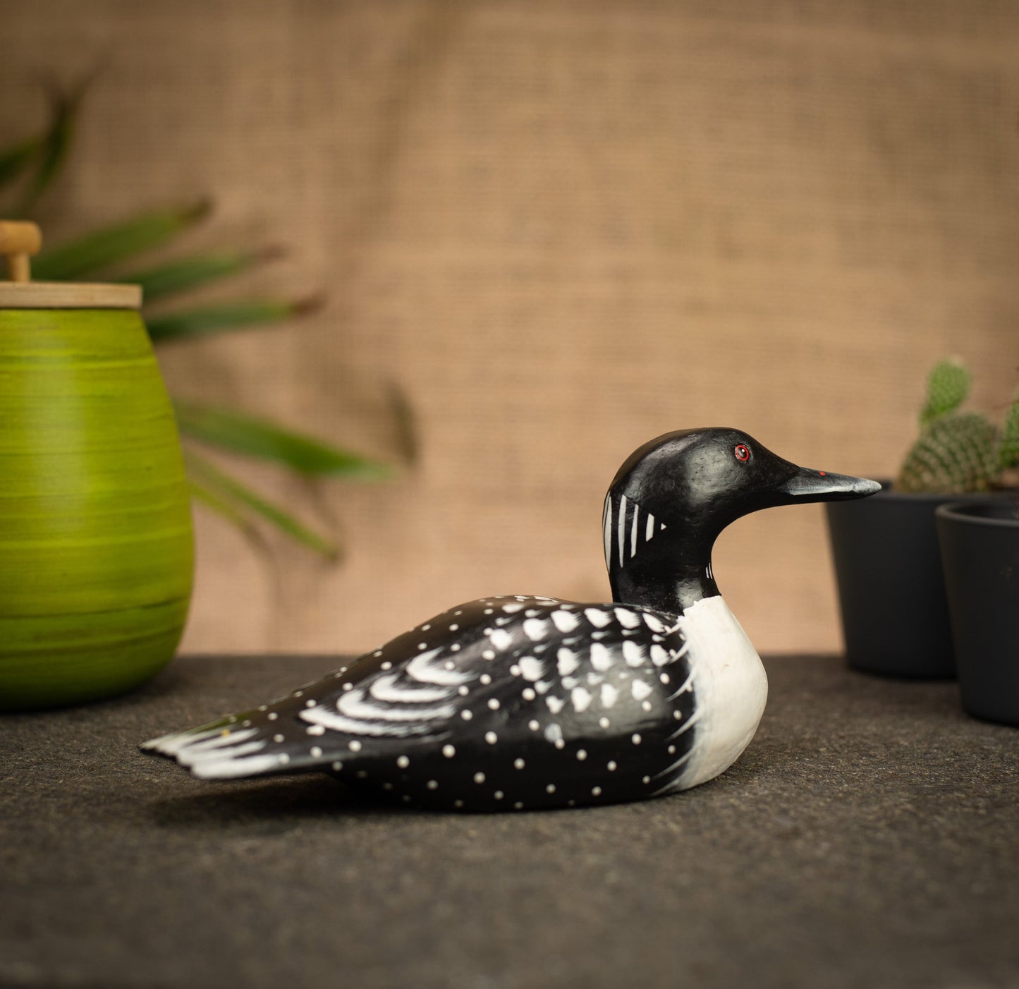 photo of a bird