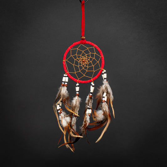 Boho Dreamcatcher & Handmade Feather