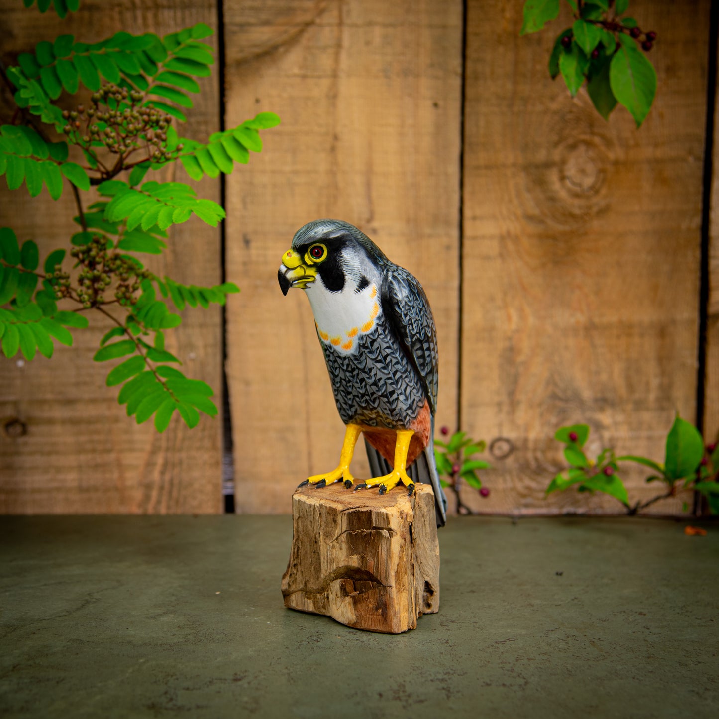 Hand Made Hand Painted Wooden Sculpture of a Bat Falcon