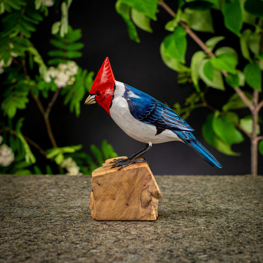 Hand Made Hand Painted Wooden Sculpture of a Red-Crested Cardinal