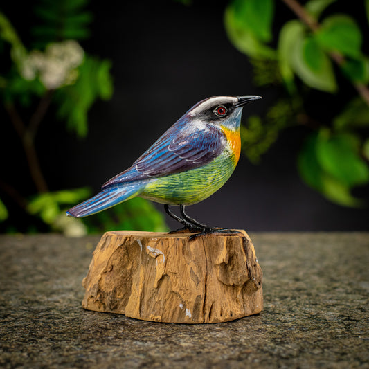Hand Made Hand Painted Wooden Sculpture of a Bananaquit