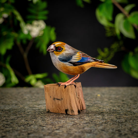 Hand Made Hand Painted Wooden Sculpture of a Hawfinch