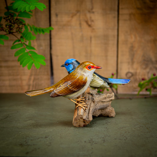 Hand Made Hand Painted Wooden Sculpture of a Pair of Superb Fairy Wrens
