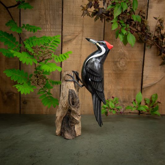 Hand Made Hand Painted Wooden Sculpture of a Pileated Woodpecker