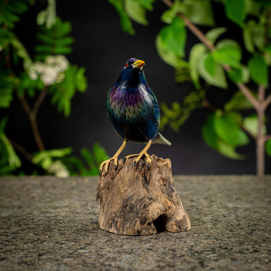 Hand Made Hand Painted Wooden Sculpture of a Starling