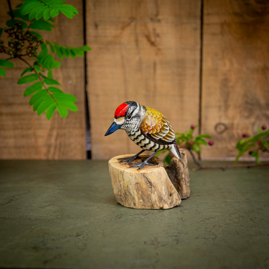 Hand Made Hand Painted Wooden Sculpture of a White Barred Woodpecker