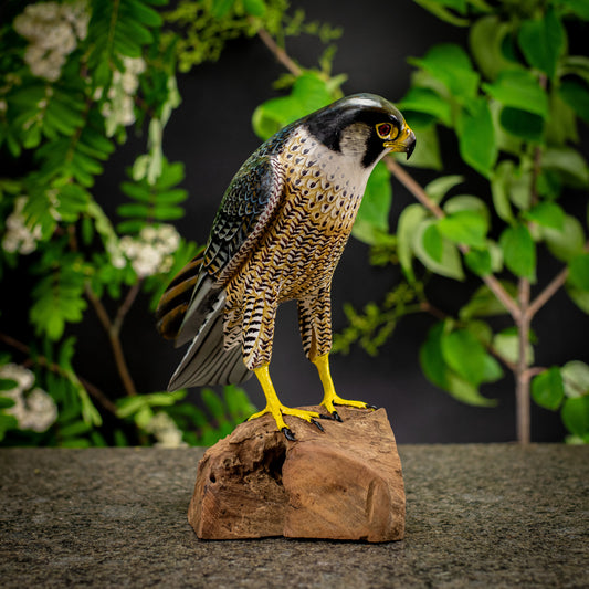 Hand Made Hand Painted Wooden Sculpture of a Peregrine Falcon