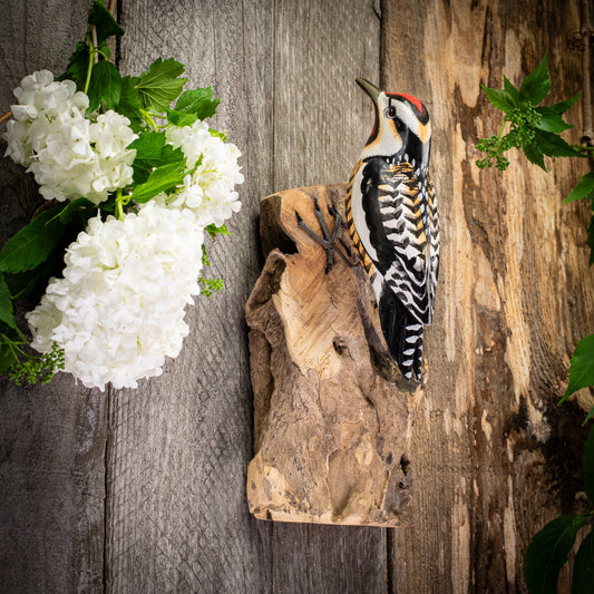 Hand Made Hand Painted Wooden Wall Sculpture of a Yellow-Bellied Sapsucker