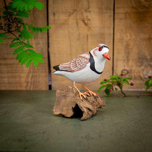 Hand Made Hand Painted Wooden Sculpture of a Magellanic Plover