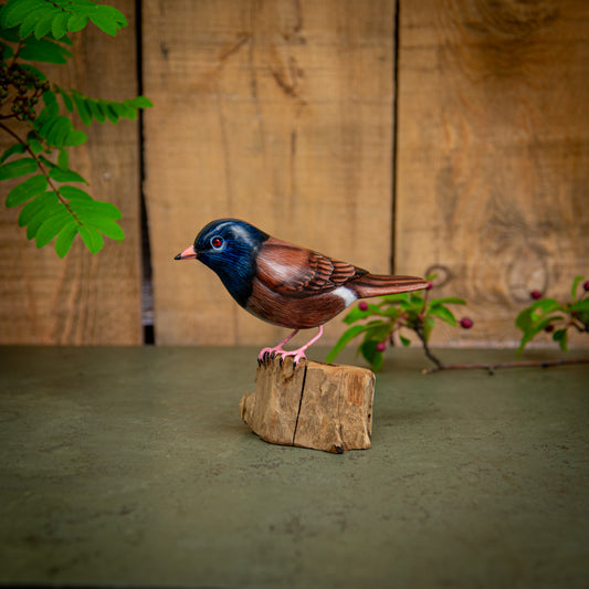 Hand Made Hand Painted Wooden Sculpture of an Oregon Junko