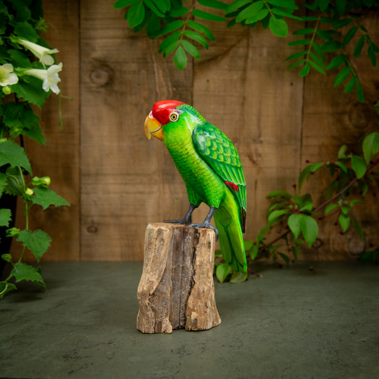 Hand Made Hand Painted Wooden Sculpture of a Red-Crowned Amazon Parrot